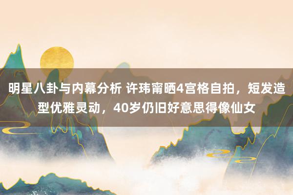 明星八卦与内幕分析 许玮甯晒4宫格自拍，短发造型优雅灵动，40岁仍旧好意思得像仙女