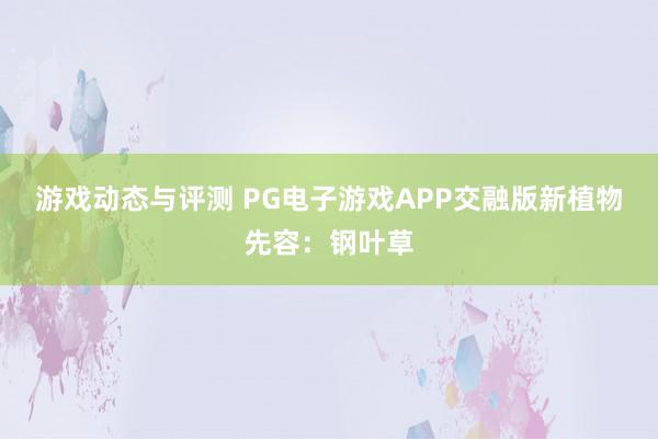 游戏动态与评测 PG电子游戏APP交融版新植物先容：钢叶草