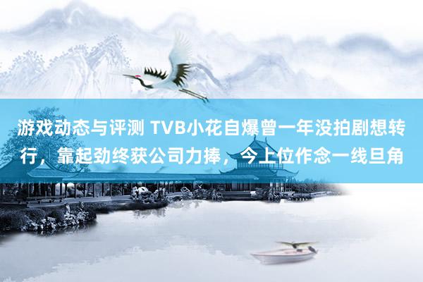 游戏动态与评测 TVB小花自爆曾一年没拍剧想转行，靠起劲终获公司力捧，今上位作念一线旦角