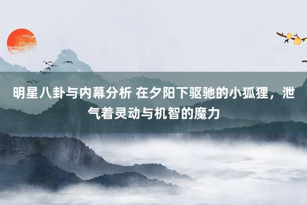 明星八卦与内幕分析 在夕阳下驱驰的小狐狸，泄气着灵动与机智的魔力