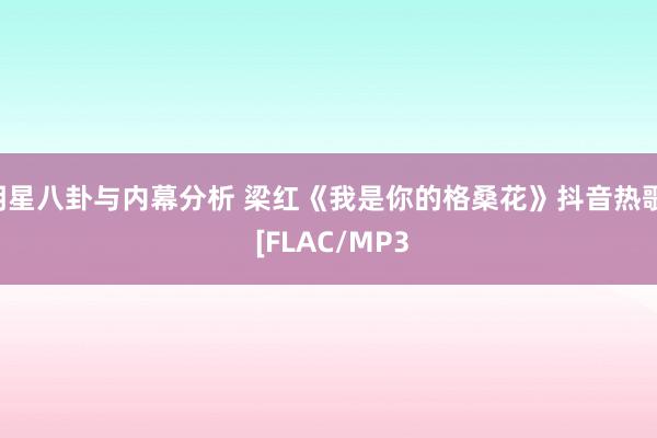 明星八卦与内幕分析 梁红《我是你的格桑花》抖音热歌  [FLAC/MP3